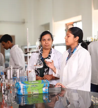 Highlights of the Curriculum