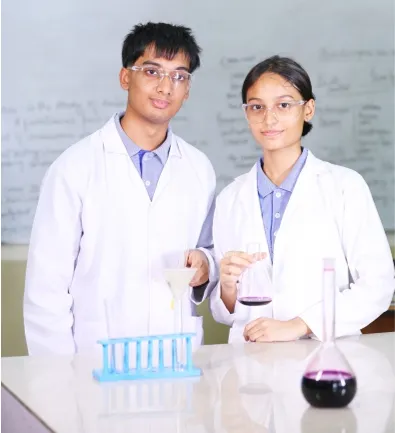 Highlights of the Curriculum