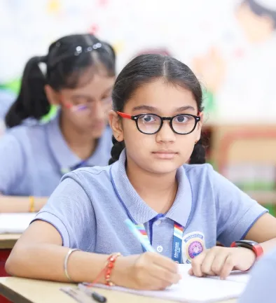Highlights of the Curriculum