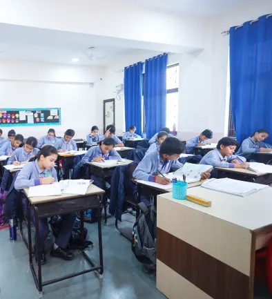 Highlights of the Curriculum