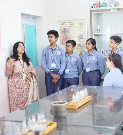 Highlights of the Curriculum