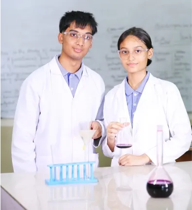 Highlights of the Curriculum