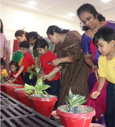 Highlights of the Curriculum