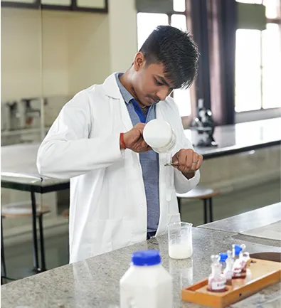 Highlights of the Curriculum