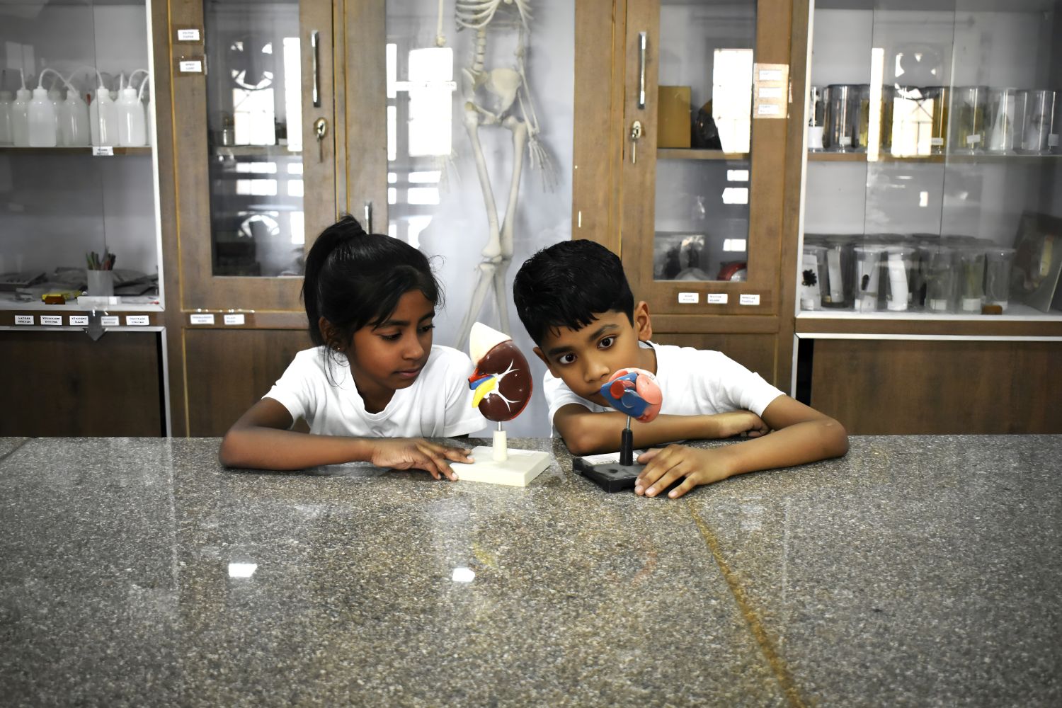 Curious MindsExploring ideas through questions and discovery.
